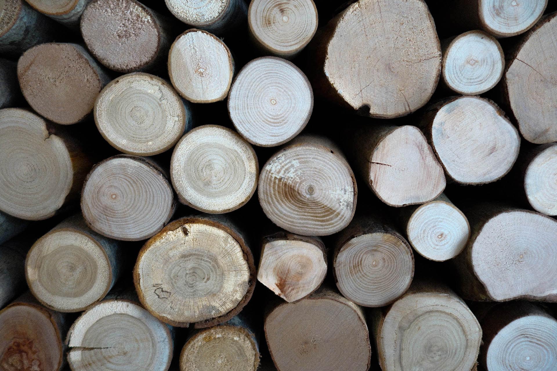 bois suzzi scandinave bordeaux brunch